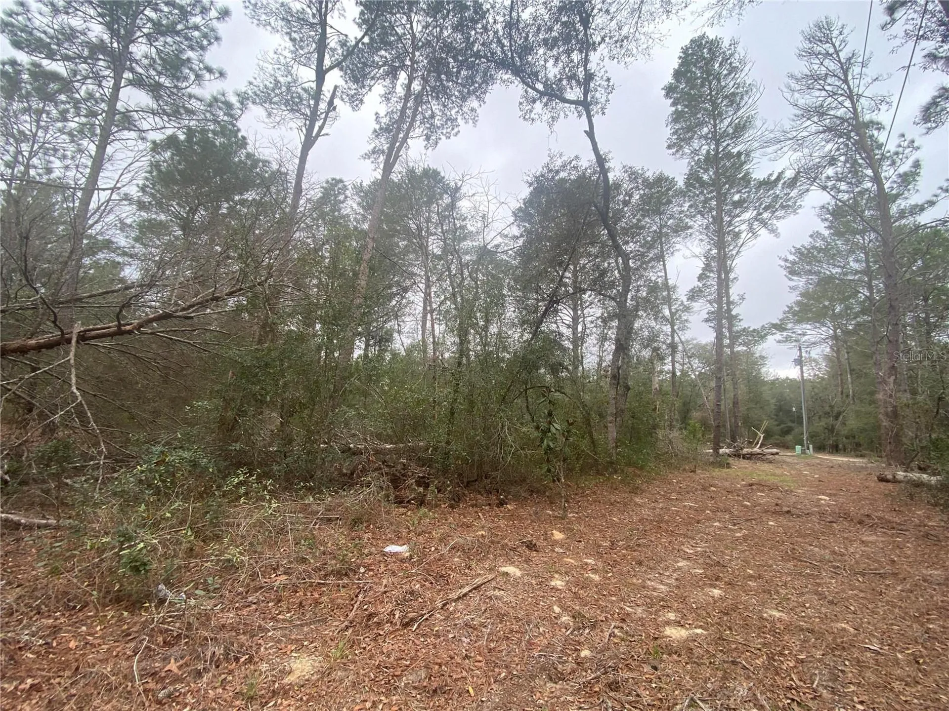 SW 156th Place Dunnellon FL 34432