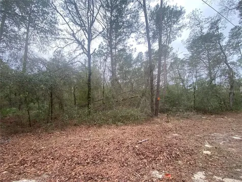 SW 156th Place Dunnellon FL 34432