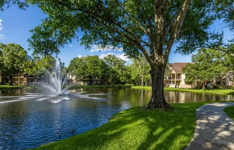 8641 Fancy Finch Drive Tampa FL 33614