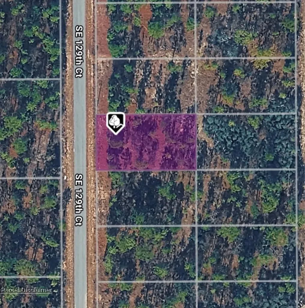 Lot 14 SE 129th Court Dunnellon FL 34431