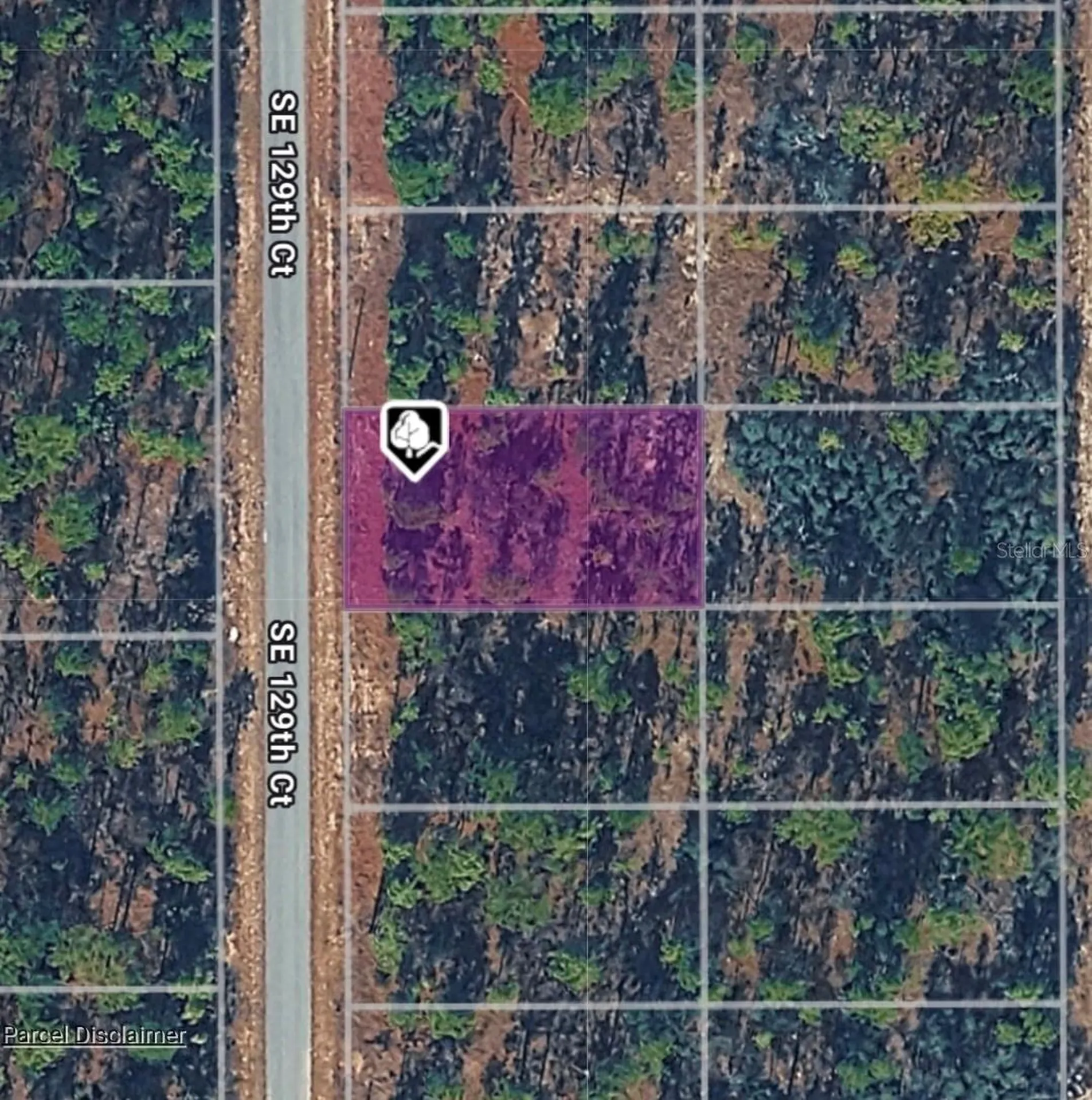 Lot 14 SE 129th Court Dunnellon FL 34431