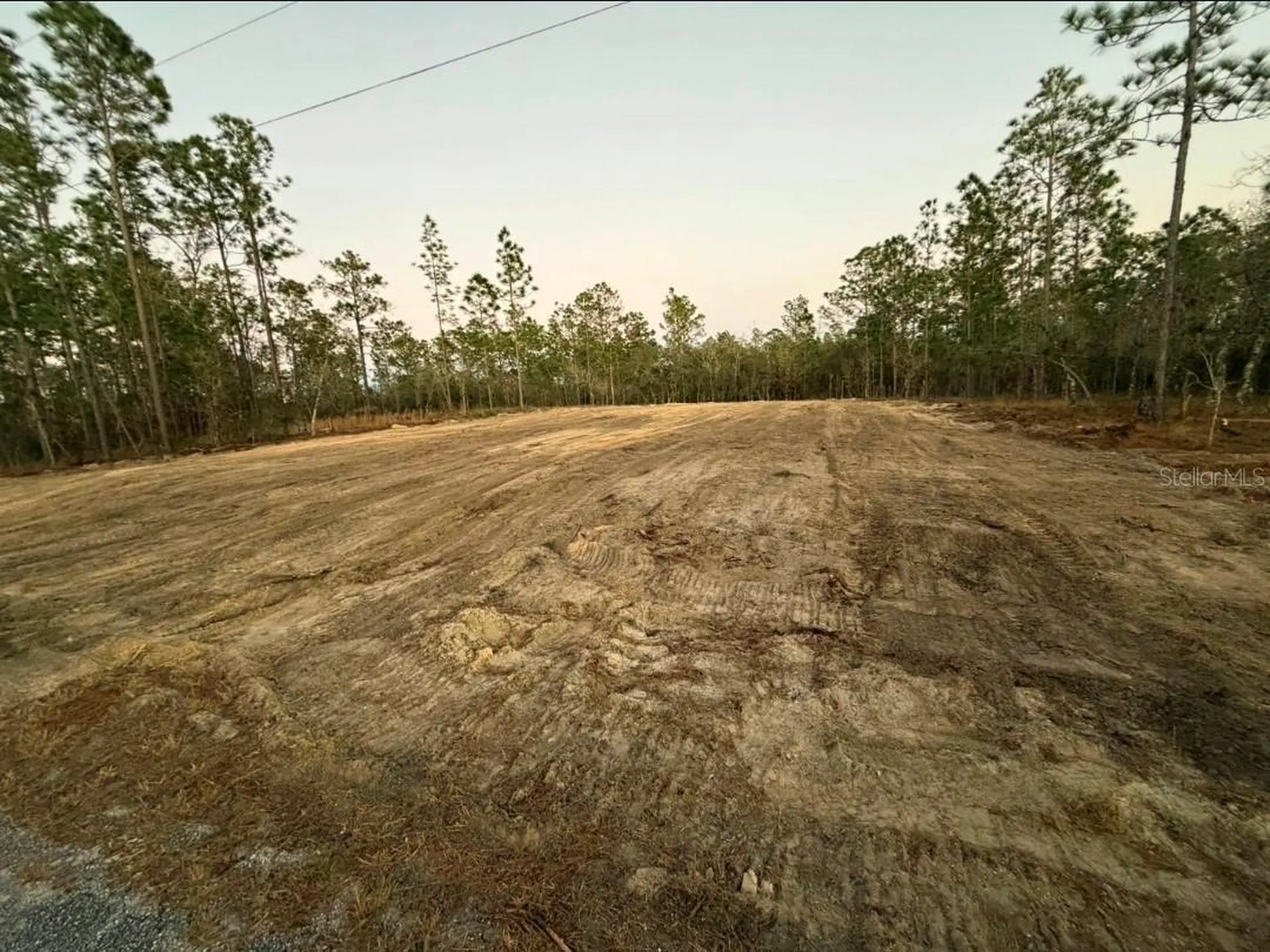 Lot 14 SE 129th Court Dunnellon FL 34431