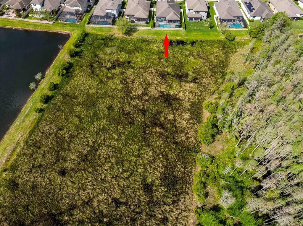 8306 Bluevine Sky Drive Land O Lakes FL 34637