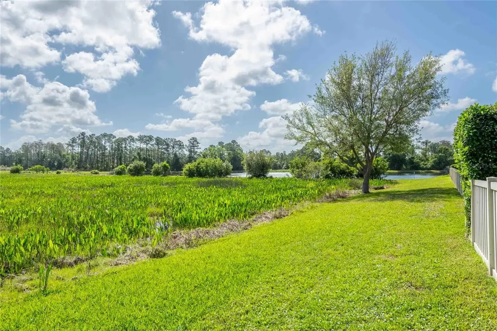 8306 Bluevine Sky Drive Land O Lakes FL 34637
