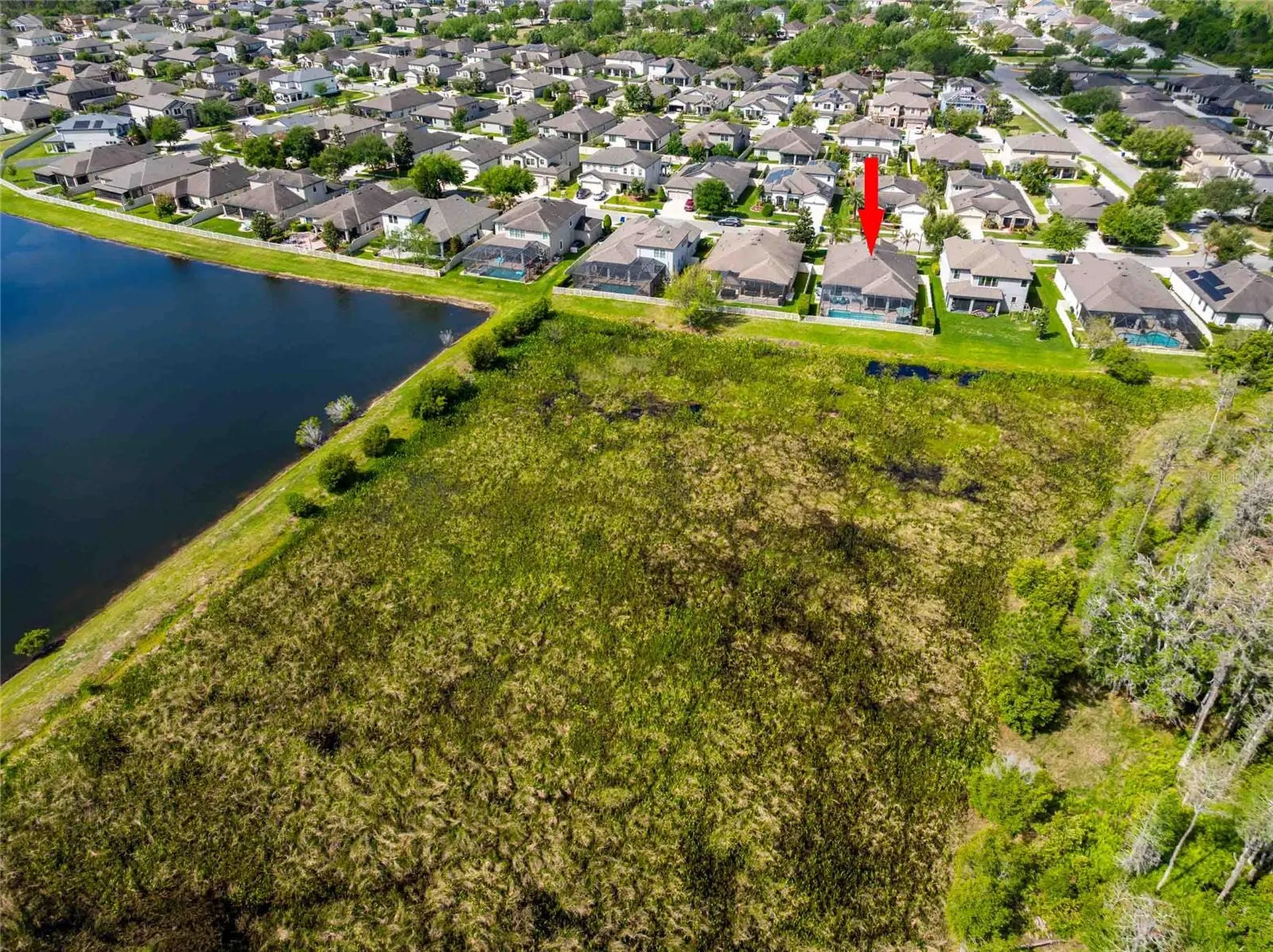 8306 Bluevine Sky Drive Land O Lakes FL 34637