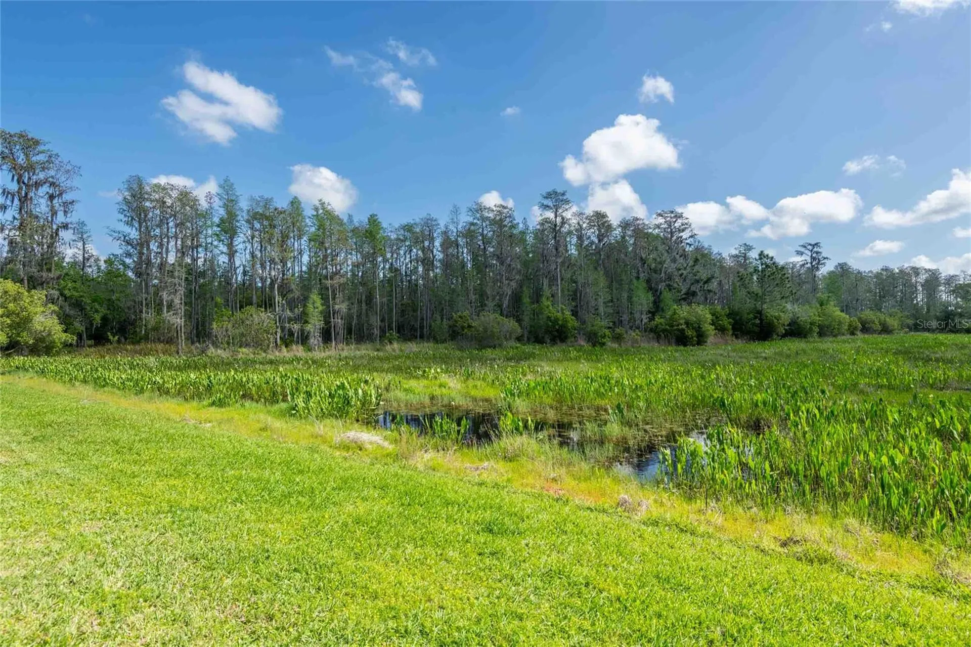 8306 Bluevine Sky Drive Land O Lakes FL 34637