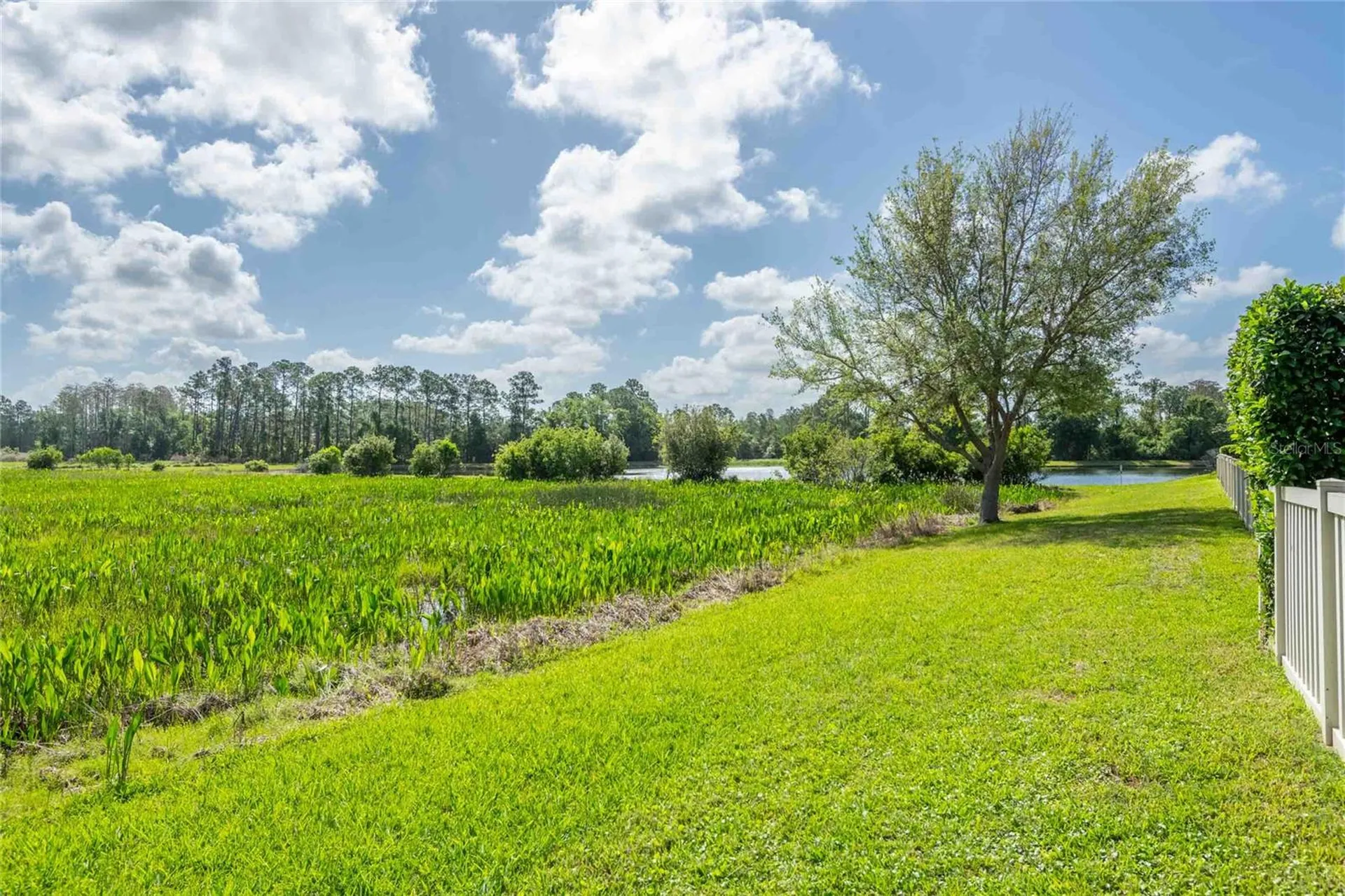 8306 Bluevine Sky Drive Land O Lakes FL 34637