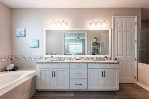 8306 Bluevine Sky Drive Land O Lakes FL 34637