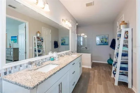 8306 Bluevine Sky Drive Land O Lakes FL 34637