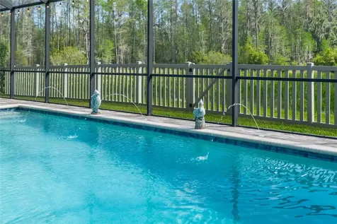8306 Bluevine Sky Drive Land O Lakes FL 34637