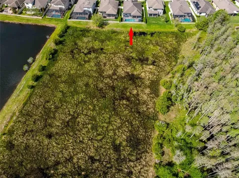 8306 Bluevine Sky Drive Land O Lakes FL 34637