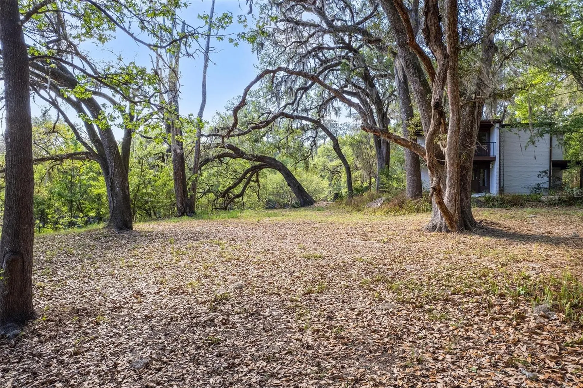 6424 SW 26th Place Gainesville FL 32608