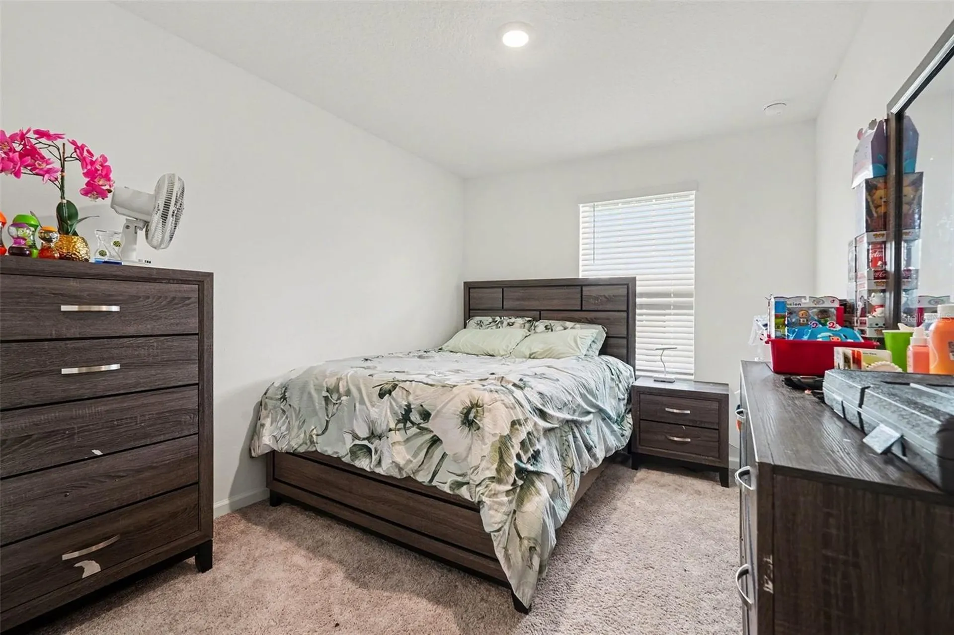 6203 Daerr Ridge Street Zephyrhills FL 33542