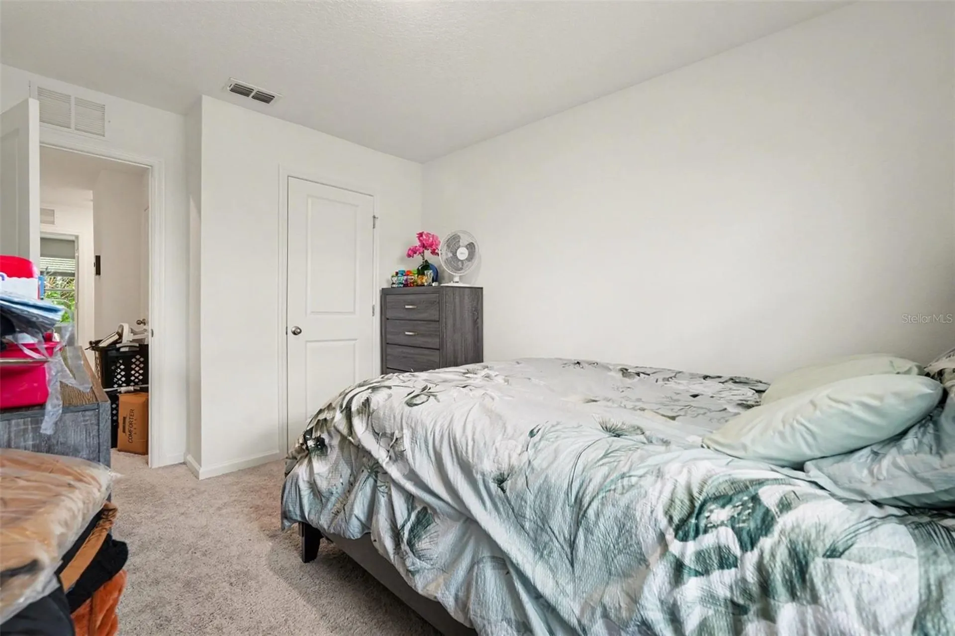 6203 Daerr Ridge Street Zephyrhills FL 33542