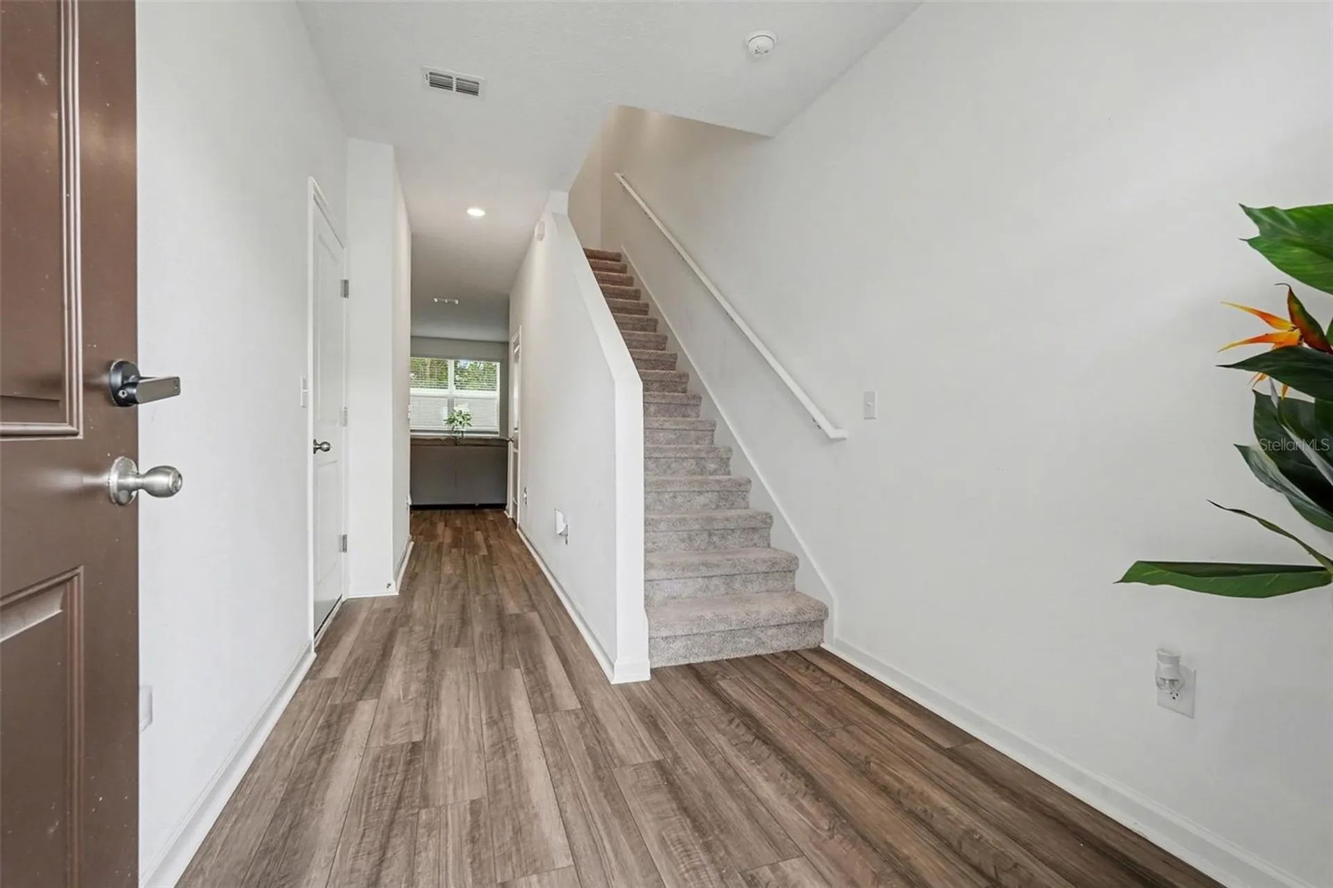6203 Daerr Ridge Street Zephyrhills FL 33542