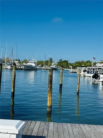 2812 Miriam Street S Gulfport FL 33711