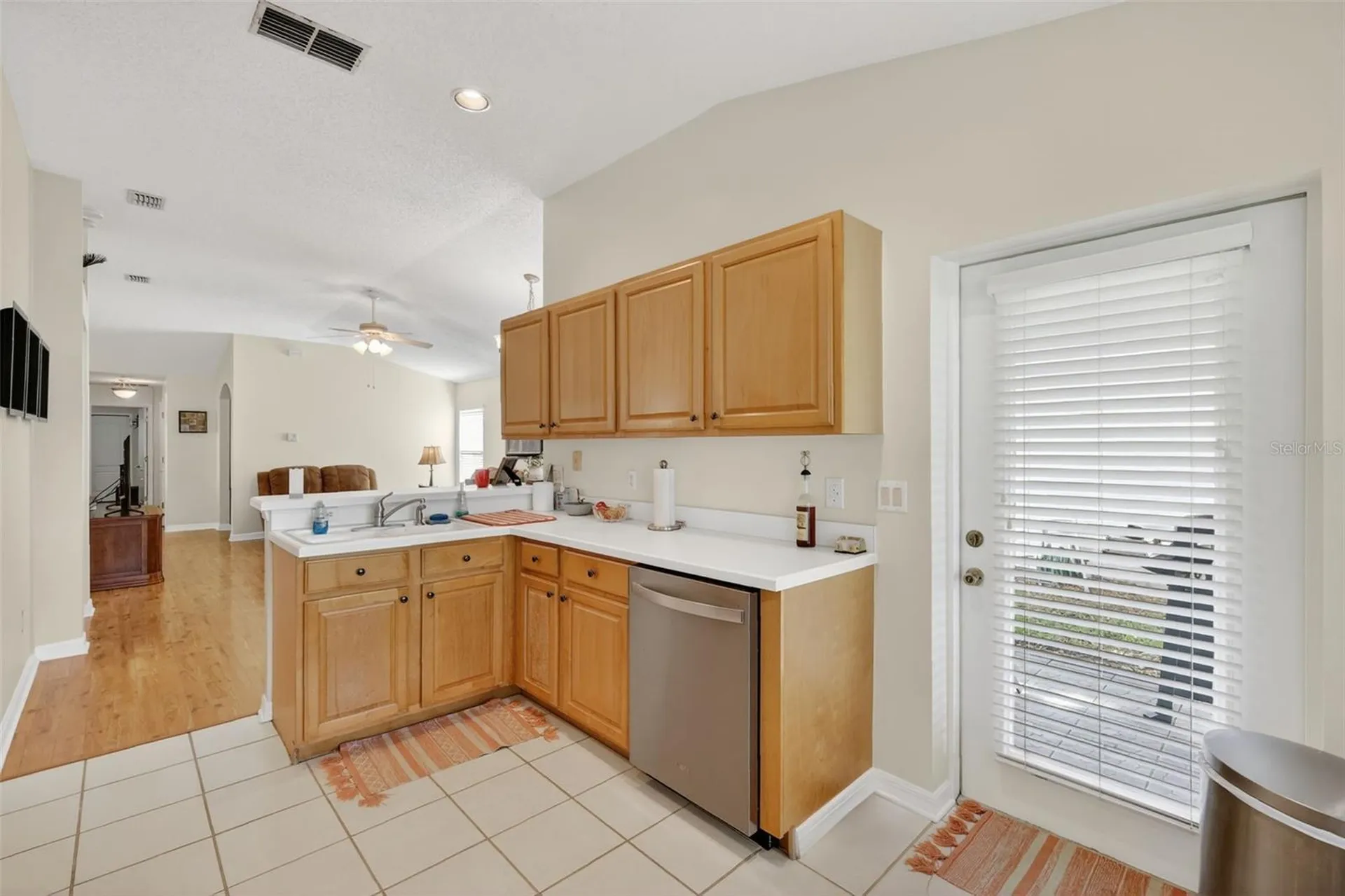 3022 Andover Court Mount Dora FL 32757