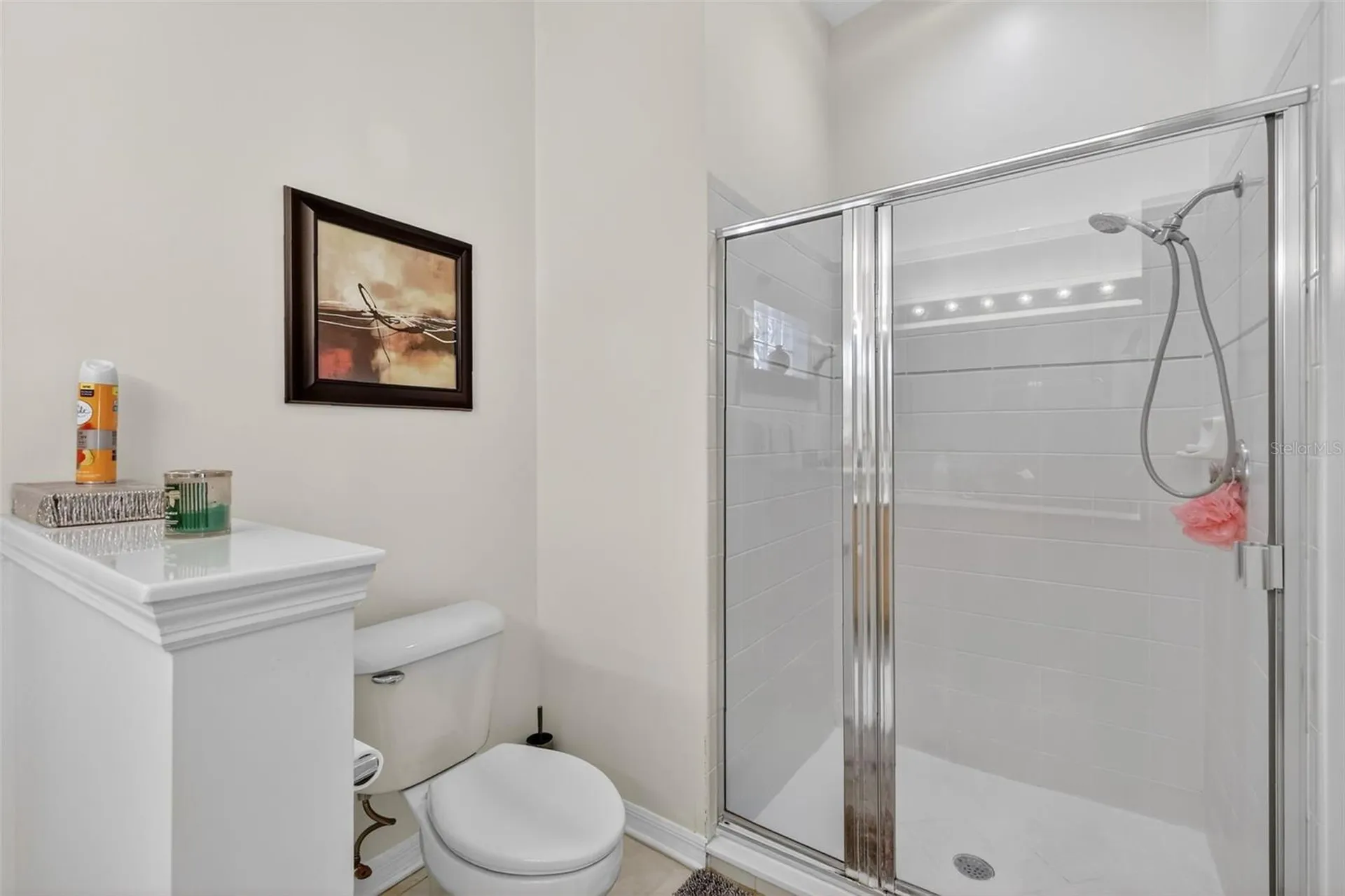 3022 Andover Court Mount Dora FL 32757