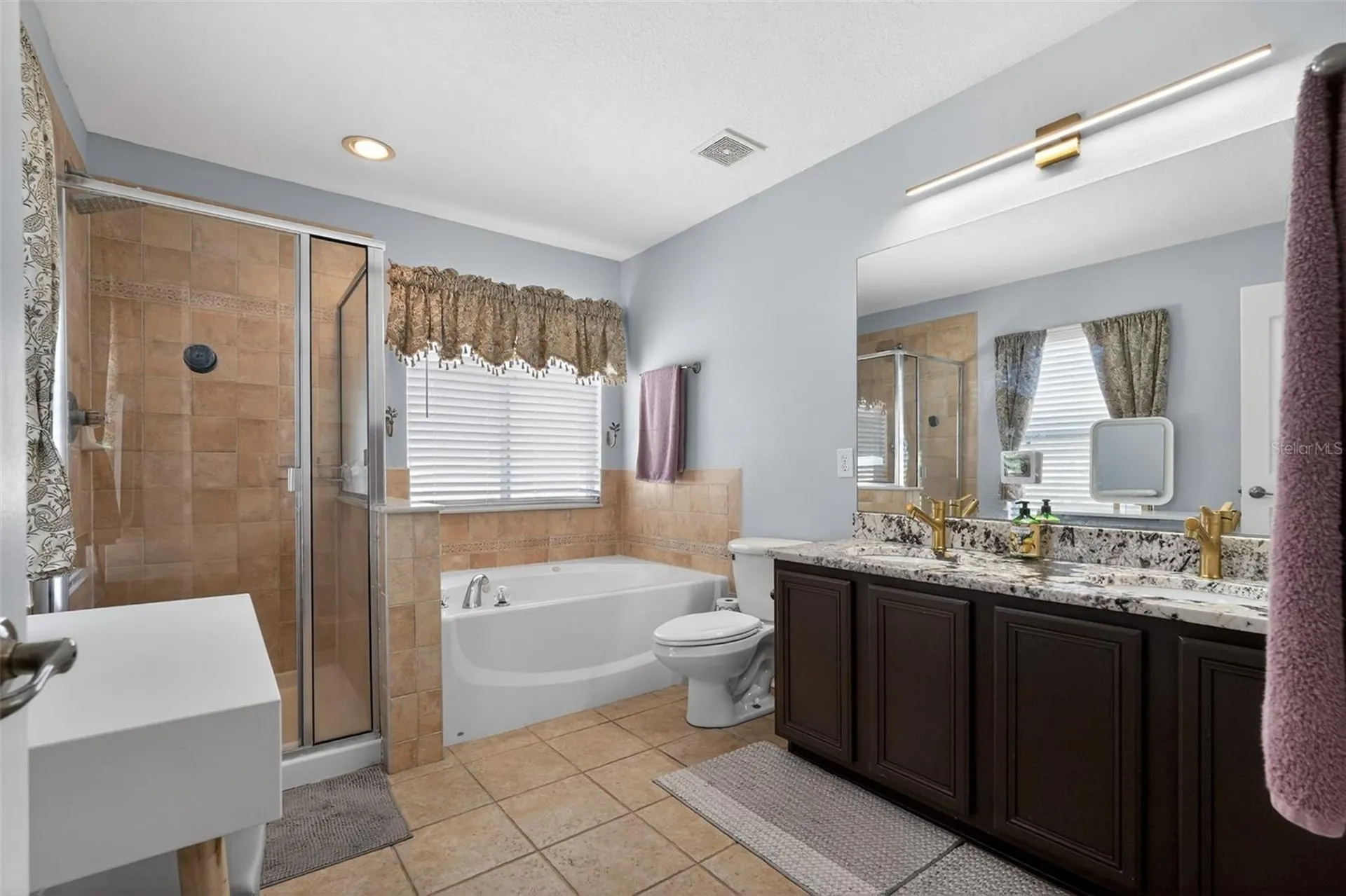 17517 Glenapp Drive Land O Lakes FL 34638