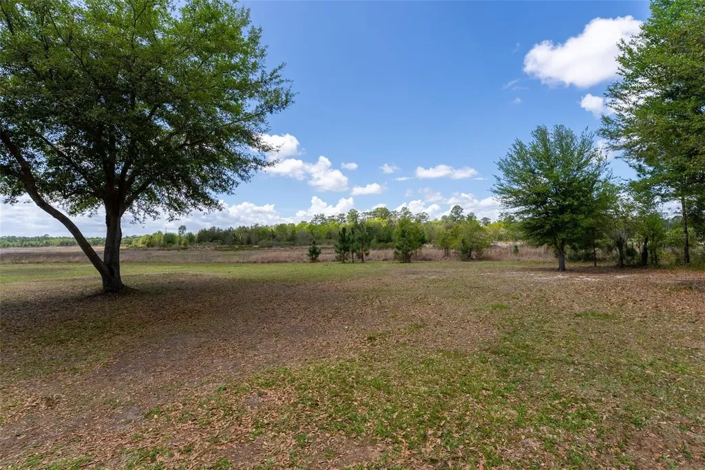 24525 NE 189th Street Fort Mc Coy FL 32134