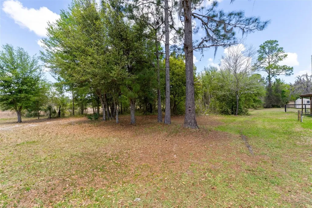 24525 NE 189th Street Fort Mc Coy FL 32134