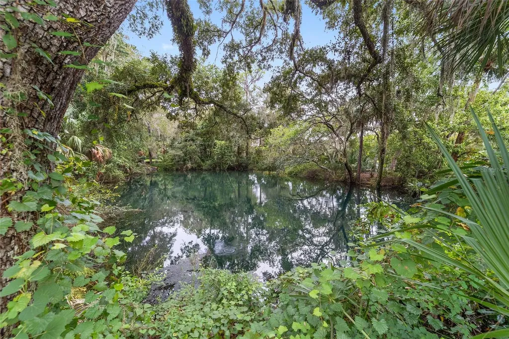0 SW 102nd Street Road Dunnellon FL 34431