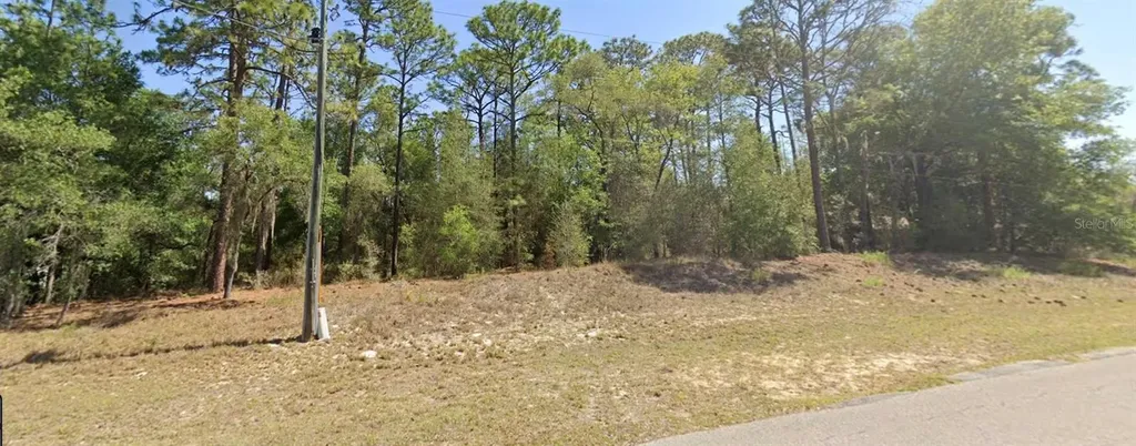 0 SW 102nd Street Road Dunnellon FL 34431