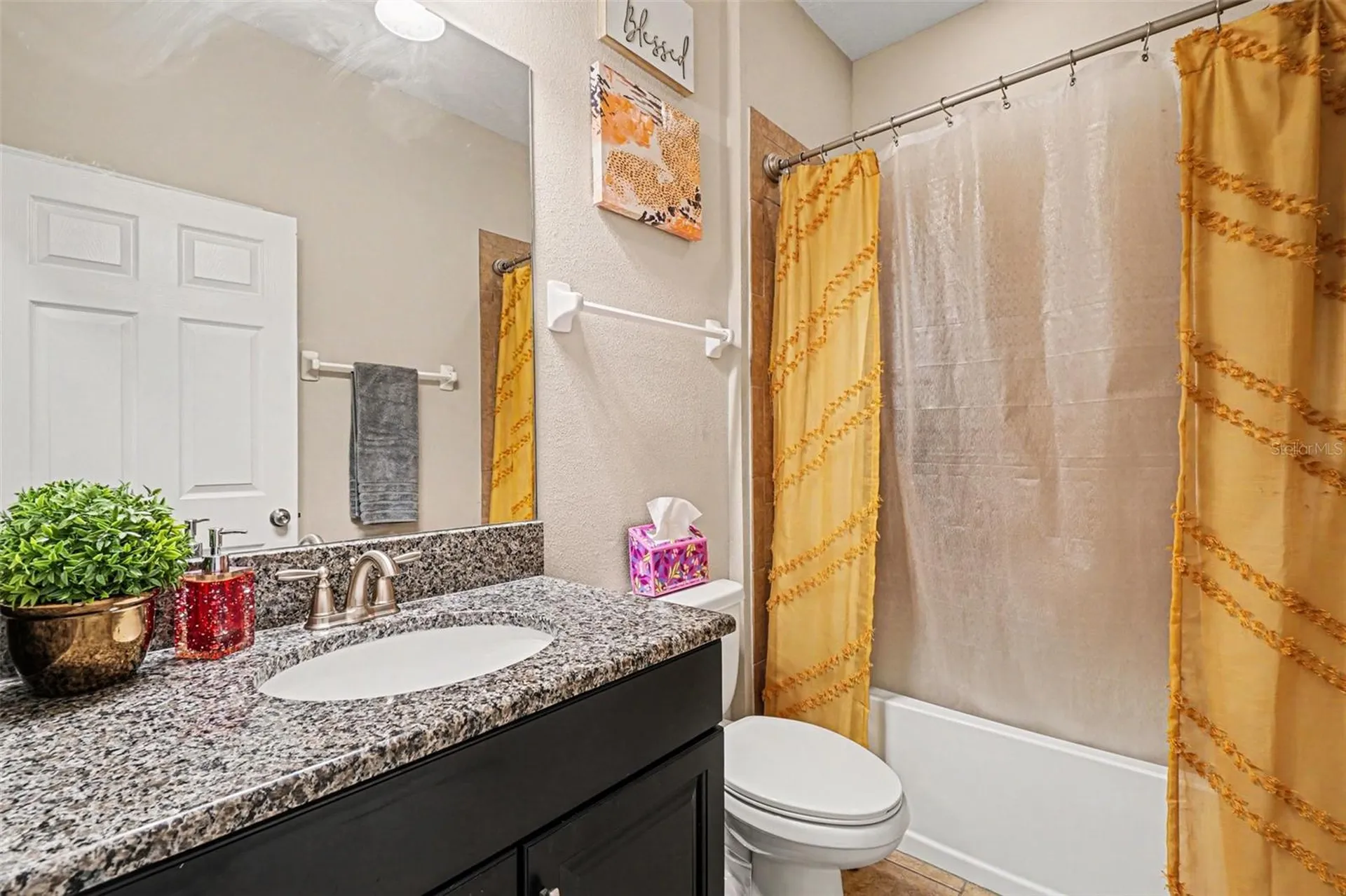 11428 Carlton Fields Drive Riverview FL 33579