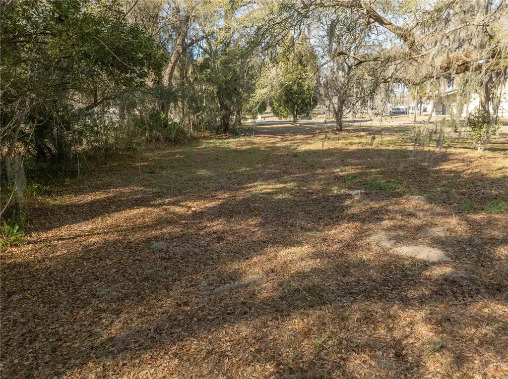 100 S Old Wire Road Wildwood FL 34785