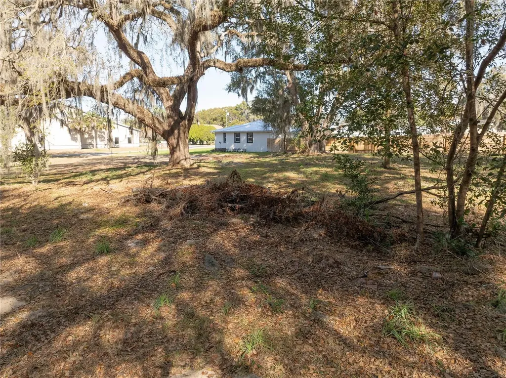 100 S Old Wire Road Wildwood FL 34785