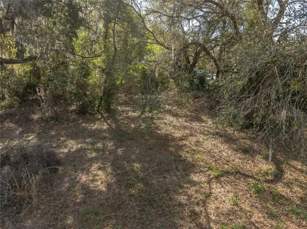 100 S Old Wire Road Wildwood FL 34785