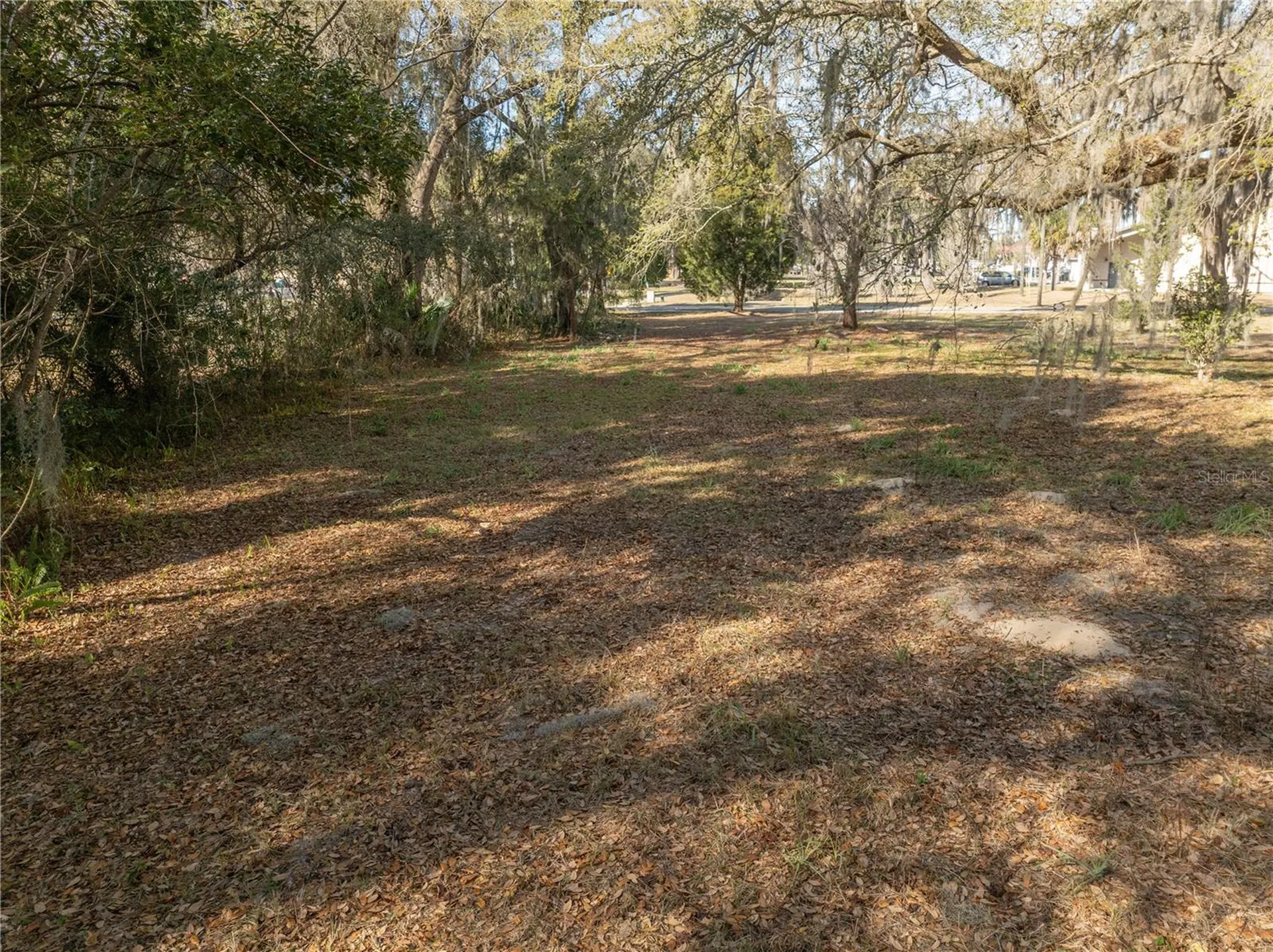 100 S Old Wire Road Wildwood FL 34785