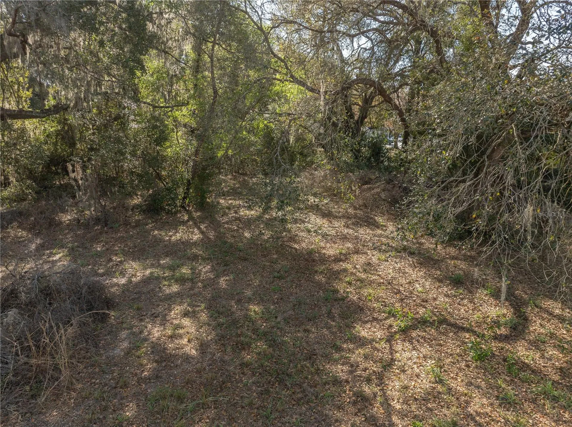 100 S Old Wire Road Wildwood FL 34785