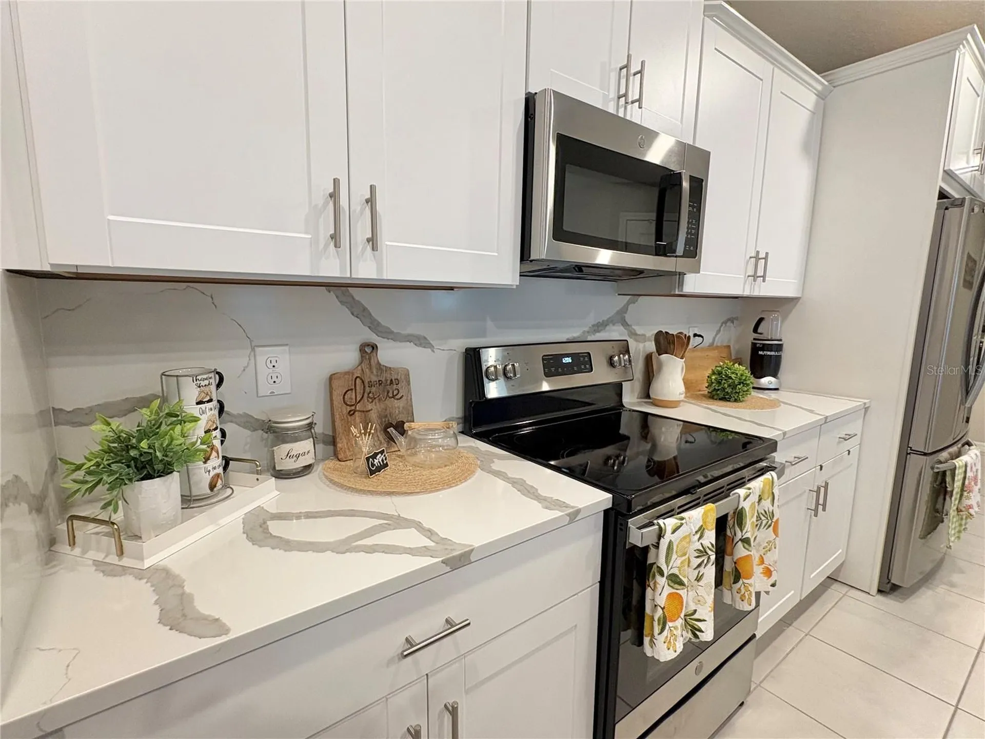 5667 SW 92nd Place Ocala FL 34476