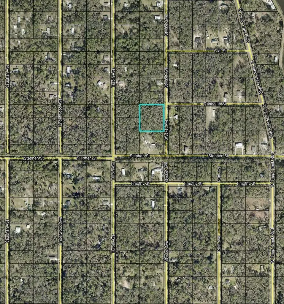 10155 Stycket Avenue Hastings FL 32145