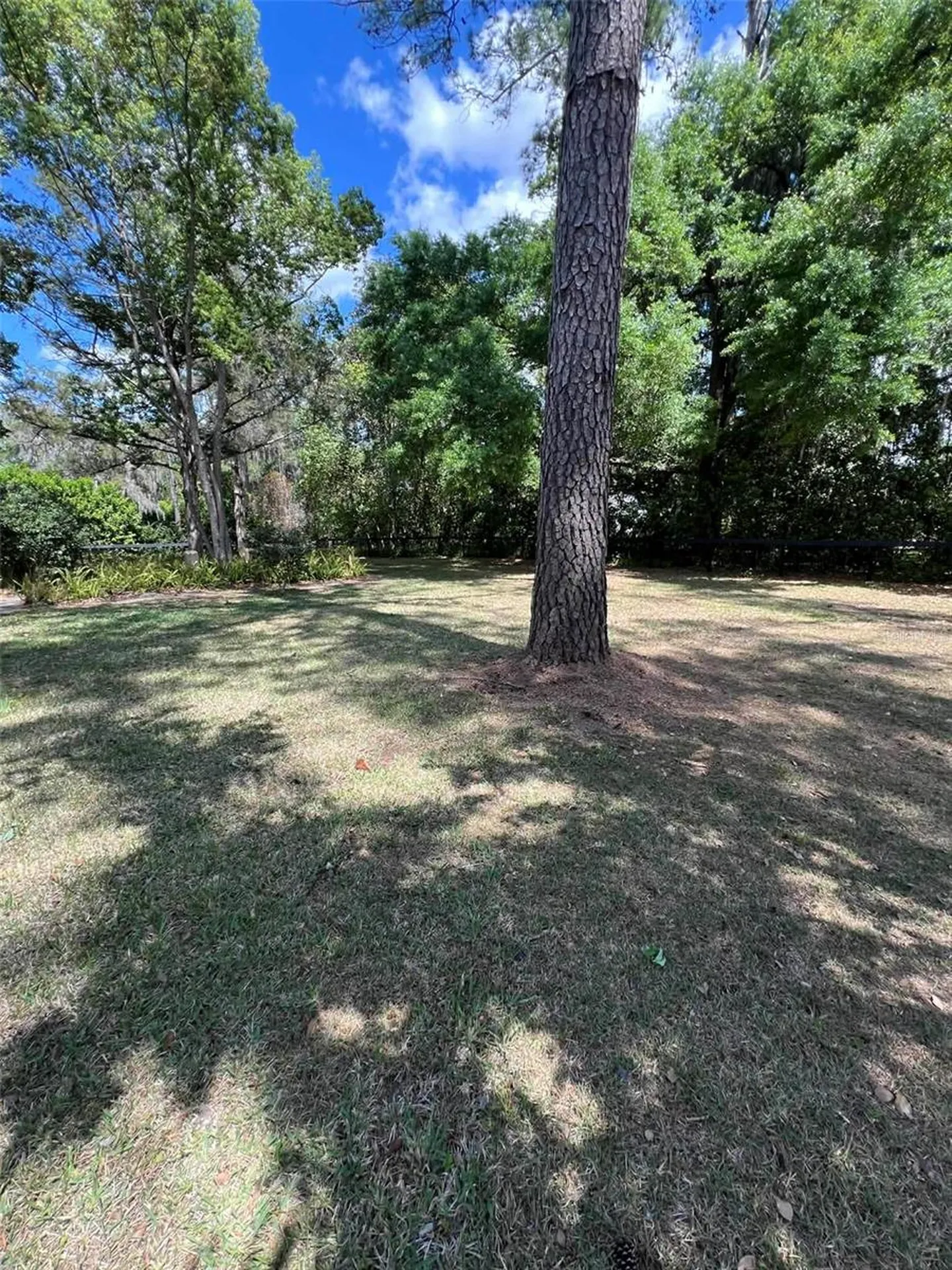 4455 NW 80th Terrace Ocala FL 34482