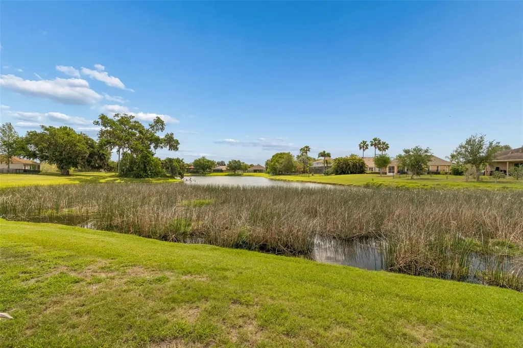 5405 Hammock View Lane Apollo Beach FL 33572