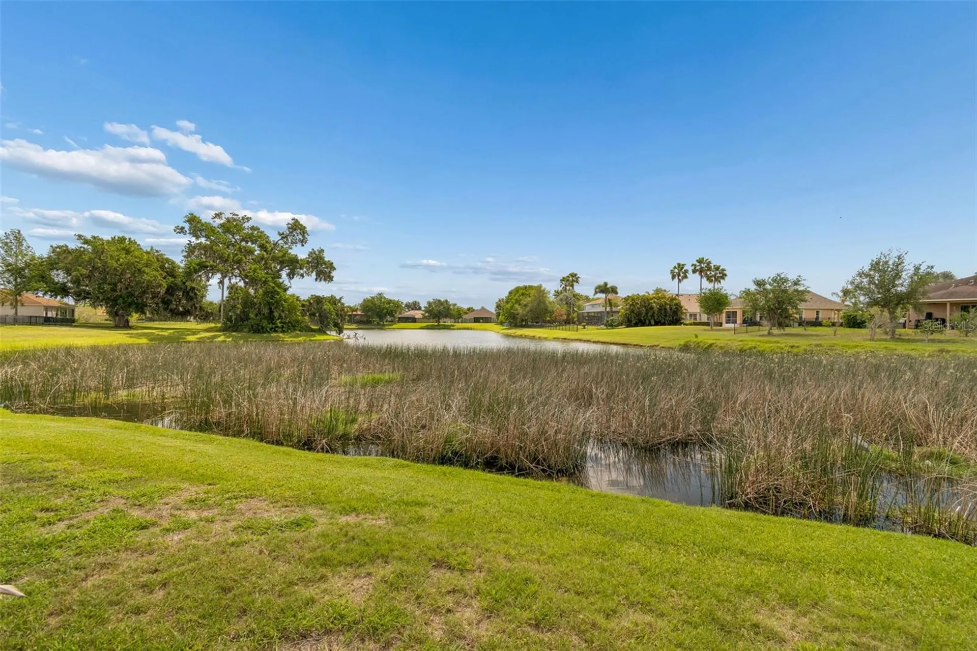 5405 Hammock View Lane Apollo Beach FL 33572
