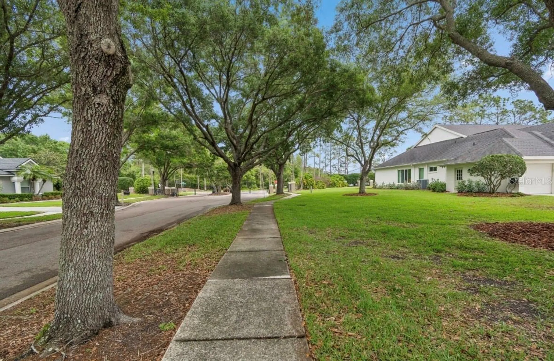 19127 Centre Rose Boulevard Lutz FL 33558