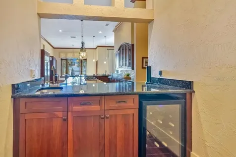 10577 Down Lakeview Circle Windermere FL 34786