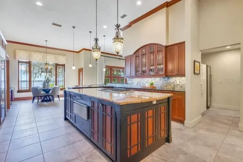 10577 Down Lakeview Circle Windermere FL 34786