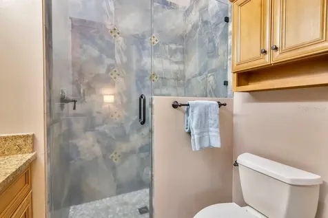 10577 Down Lakeview Circle Windermere FL 34786