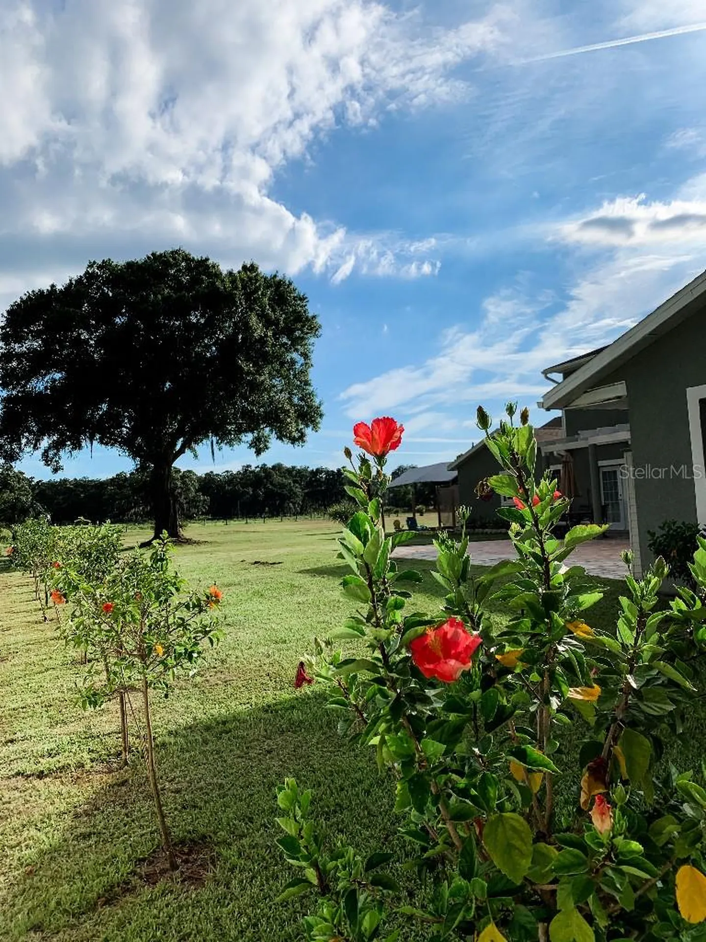 13112 Balm Boyette Road Riverview FL 33579