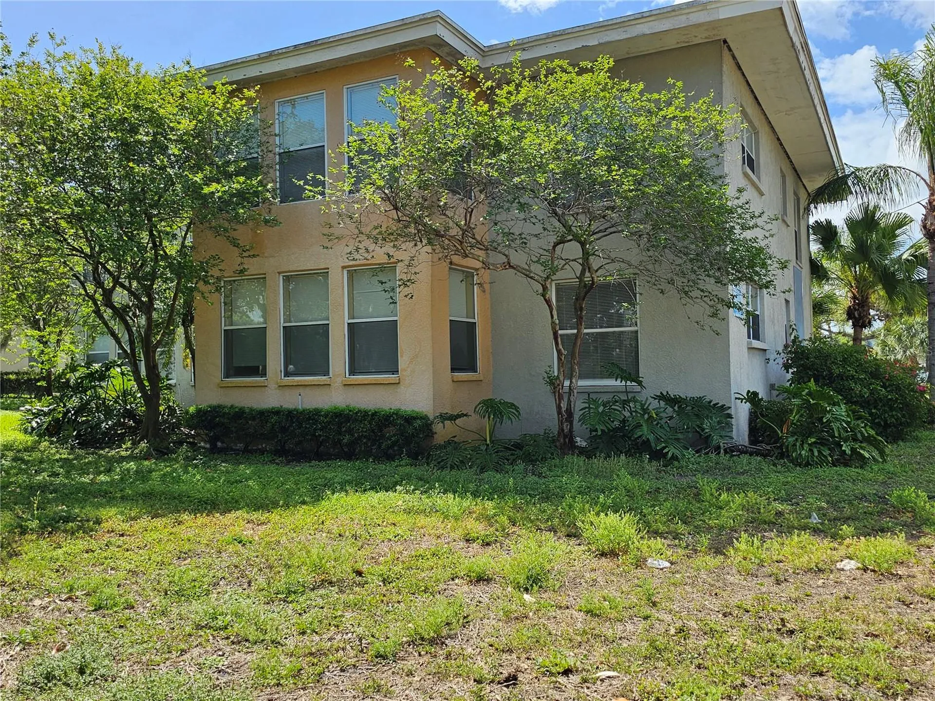 1365 Drew Street Clearwater FL 33755