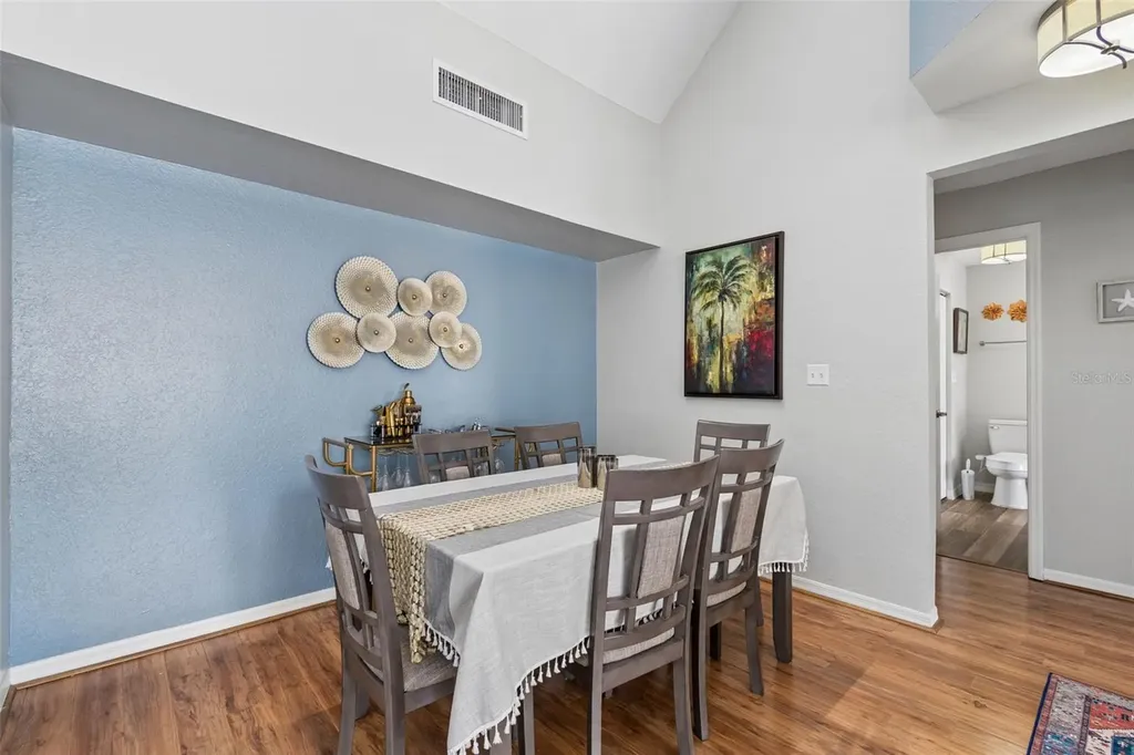 10576 Windsor Lake Court Tampa FL 33626