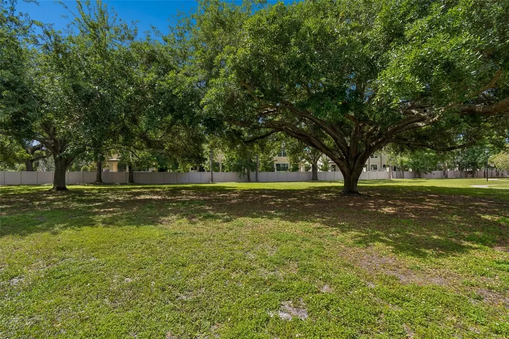 10576 Windsor Lake Court Tampa FL 33626