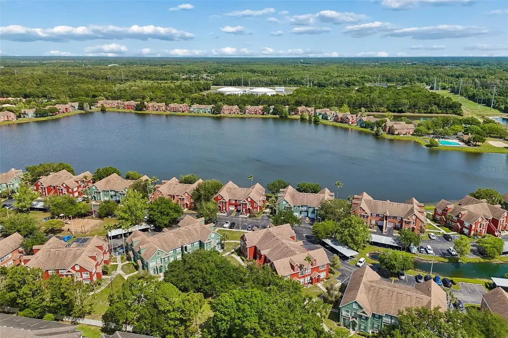 10576 Windsor Lake Court Tampa FL 33626