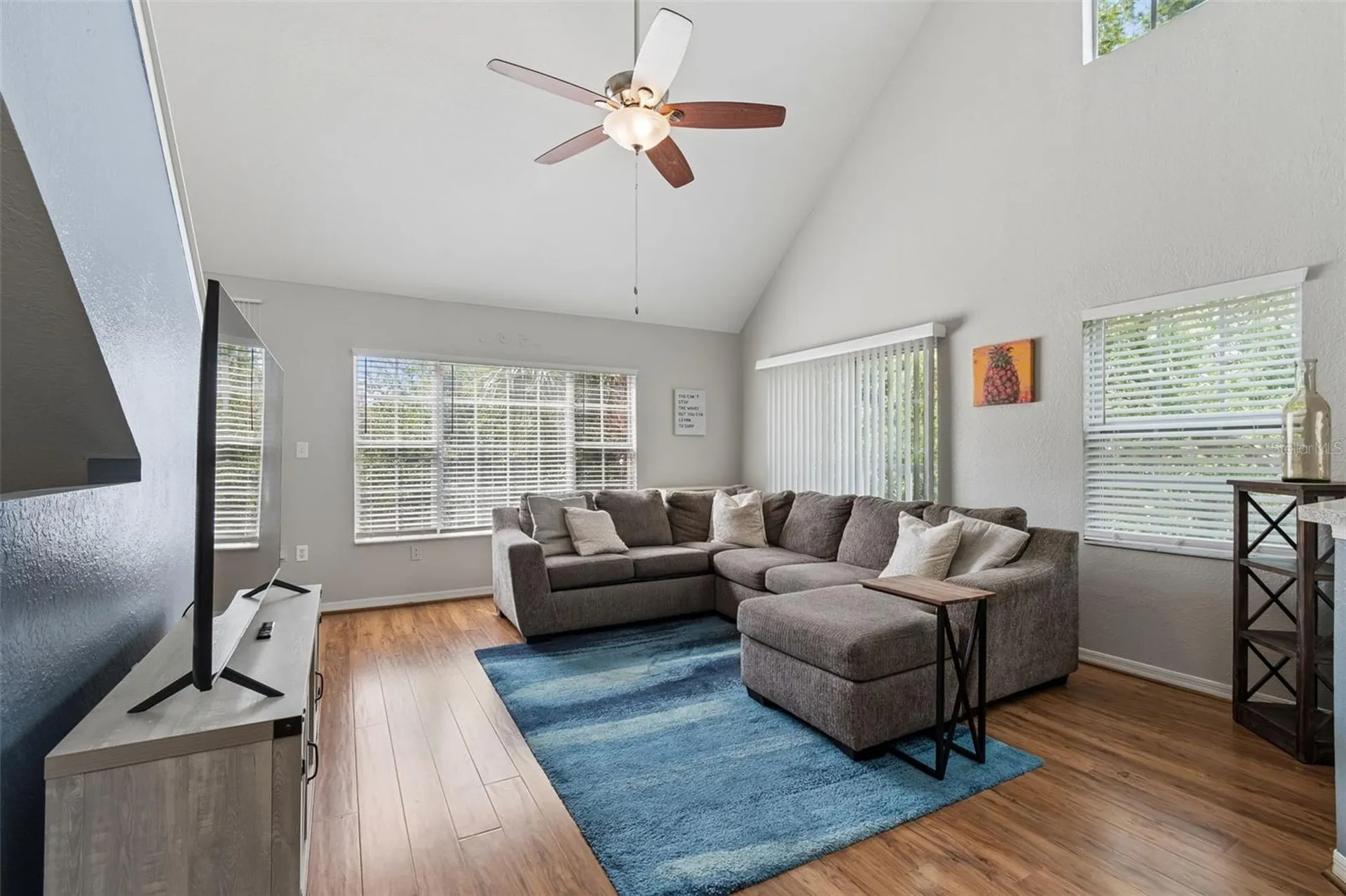 10576 Windsor Lake Court Tampa FL 33626