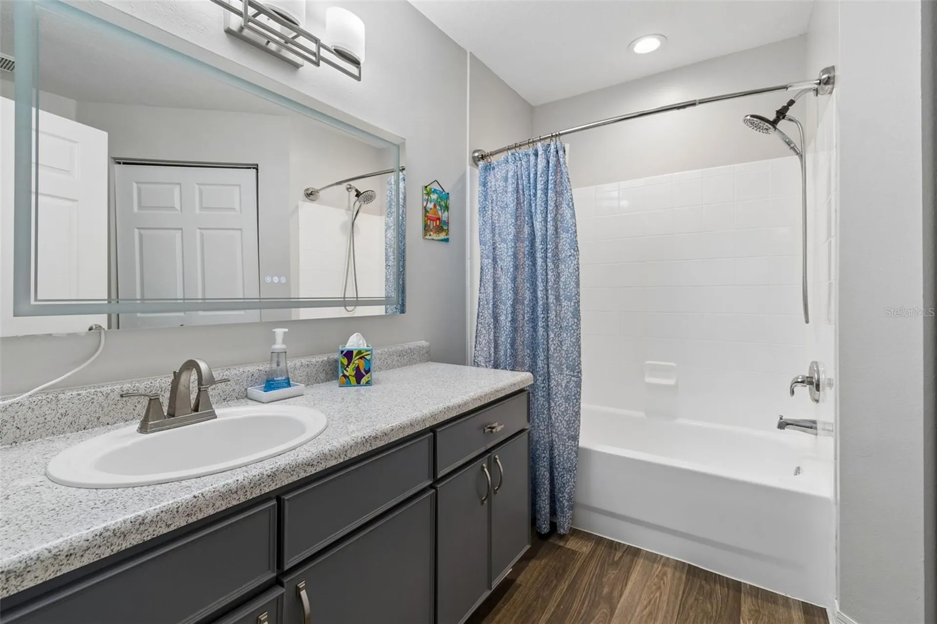 10576 Windsor Lake Court Tampa FL 33626