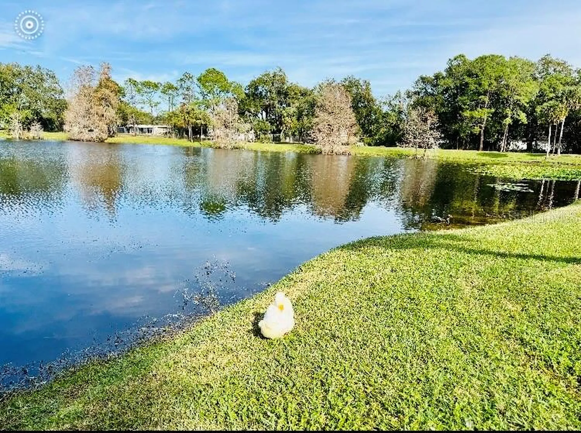 5345 Avon Court Orlando FL 32807